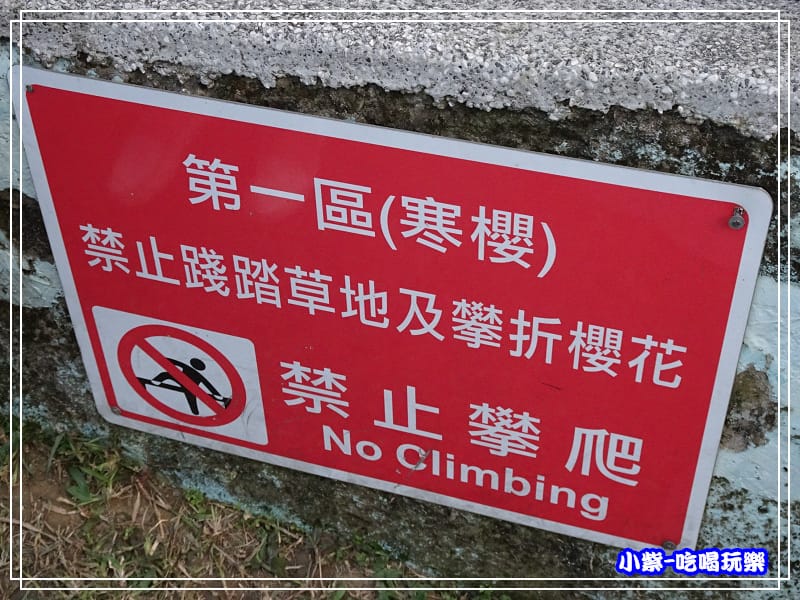 樂活公園 (23).jpg