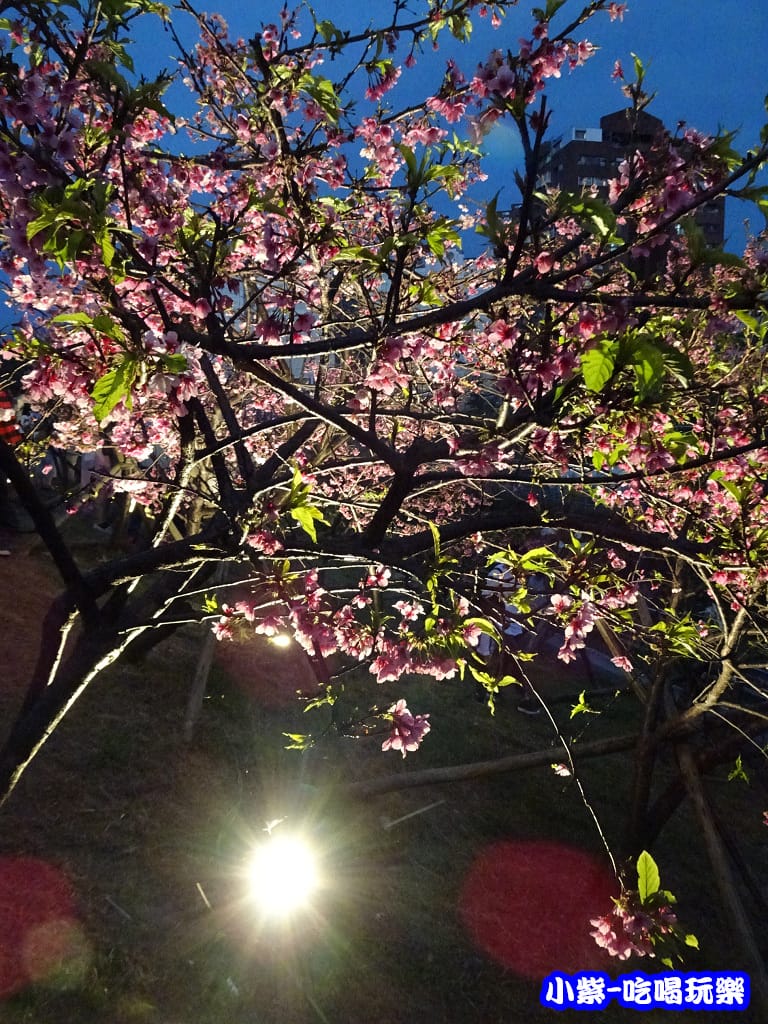樂活公園 (5).jpg