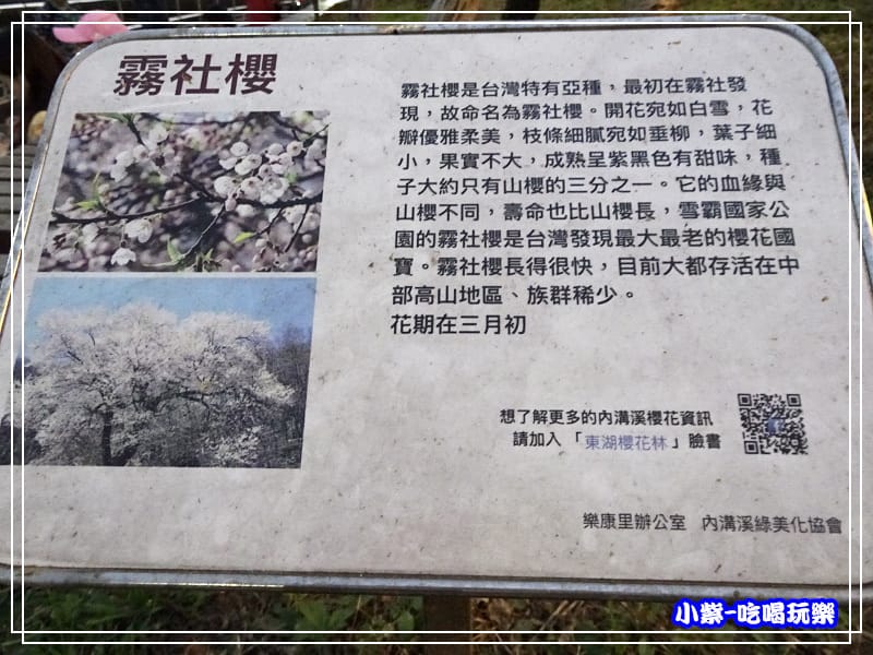 樂活公園 (19).jpg
