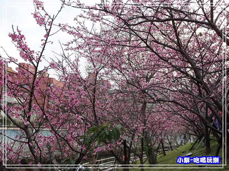 樂活公園 (11).jpg
