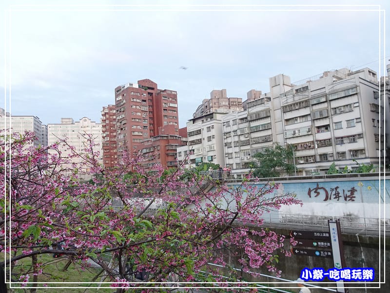 樂活公園 (17)P03.jpg