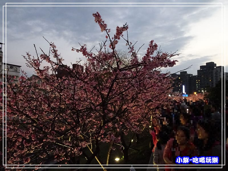 樂活公園 (14).jpg