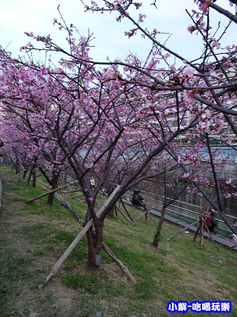 樂活公園 (2).jpg