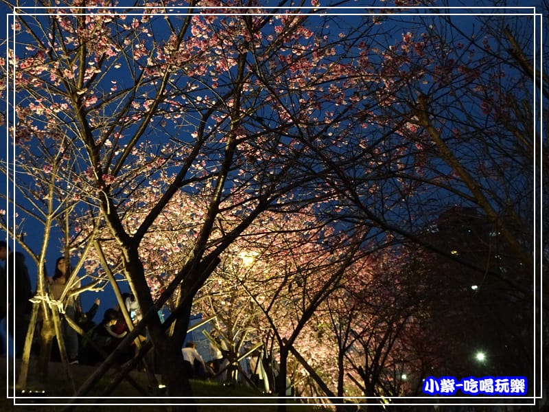 樂活公園 (22).jpg