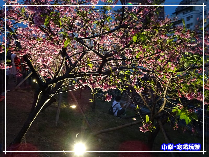 樂活公園 (15).jpg