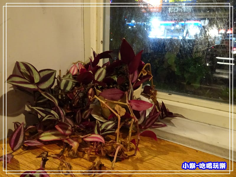 鬍子叔叔義麵工坊-林口店 (21)40.jpg