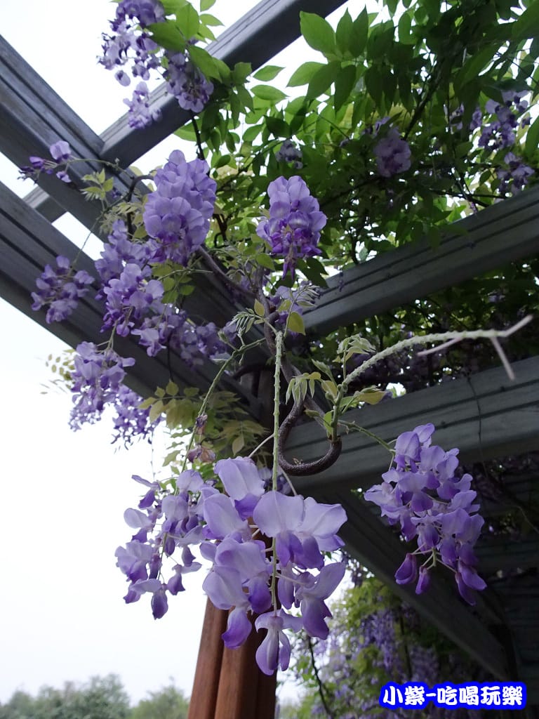 元生公園6.jpg