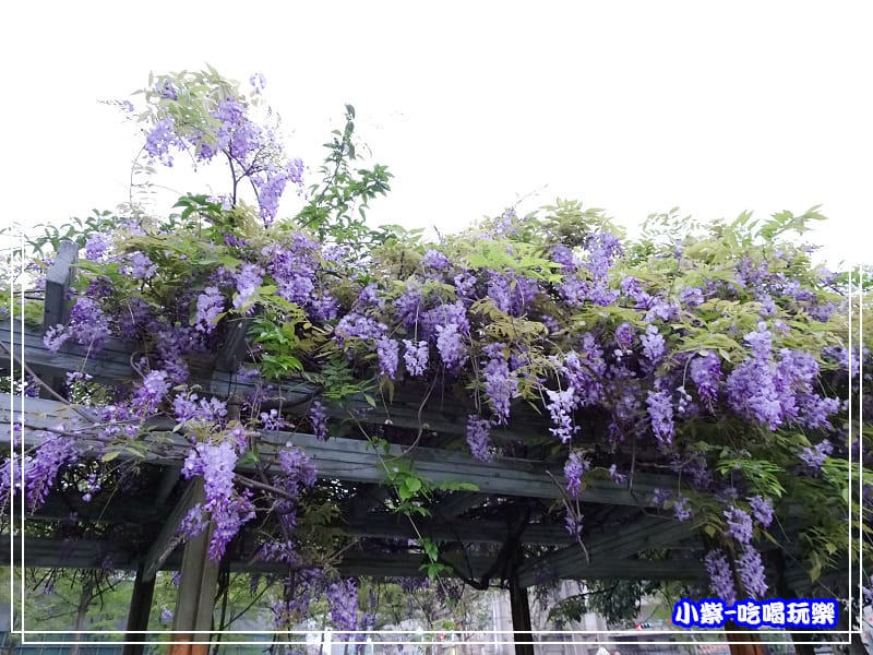 元生公園12.jpg