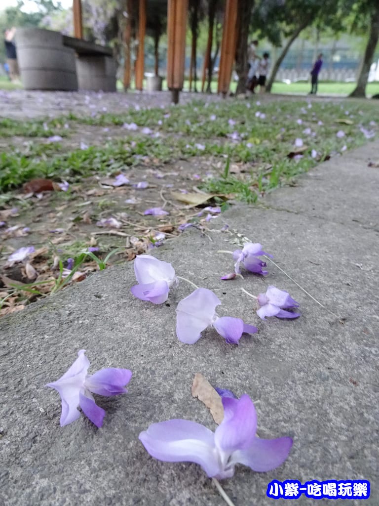 元生公園3.jpg