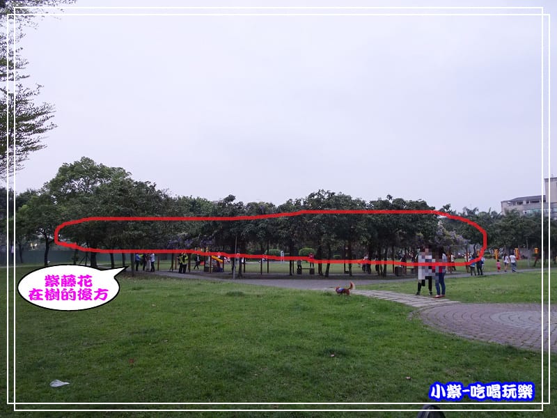 元生公園17.jpg