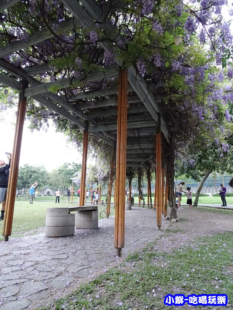 元生公園2.jpg