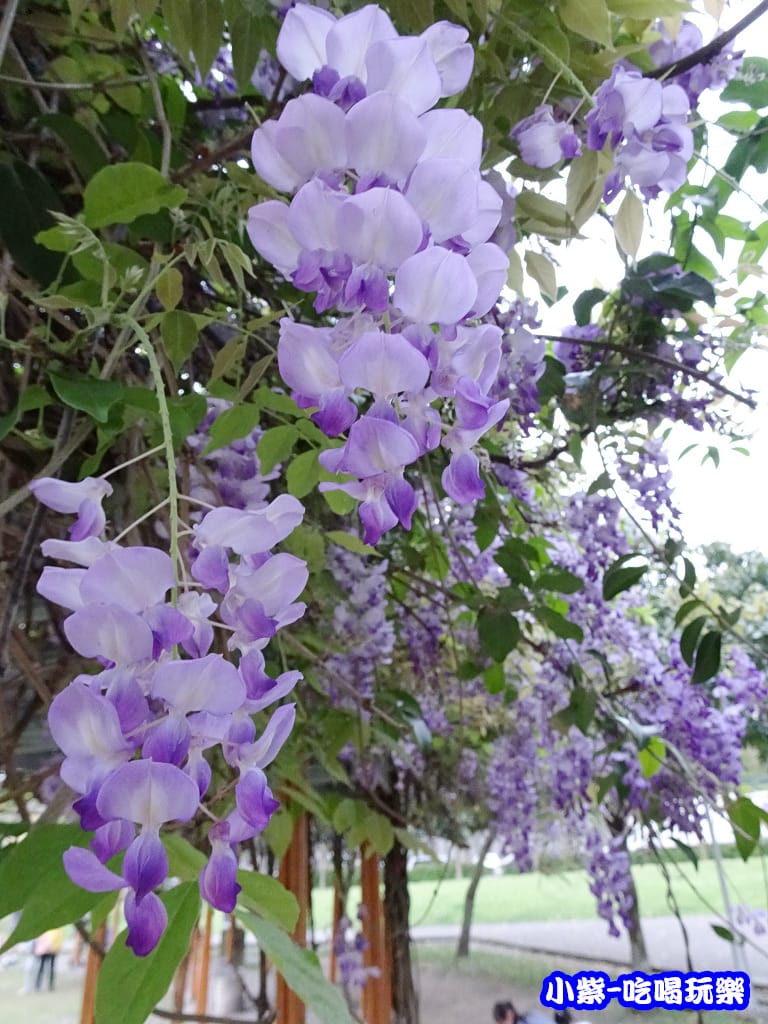 元生公園4.jpg