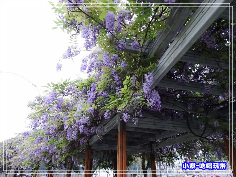 元生公園10.jpg