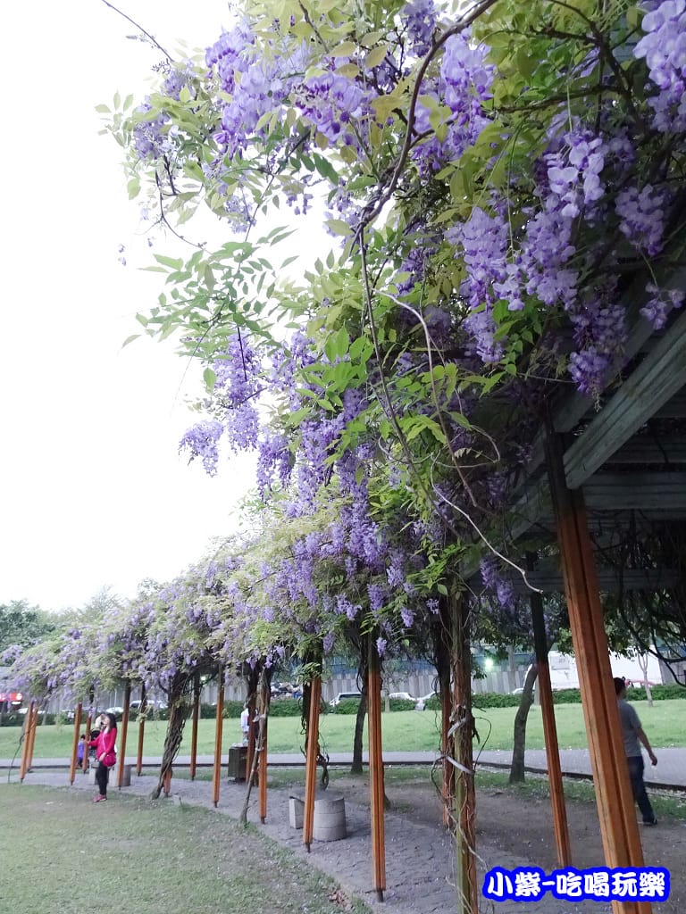 元生公園5.jpg
