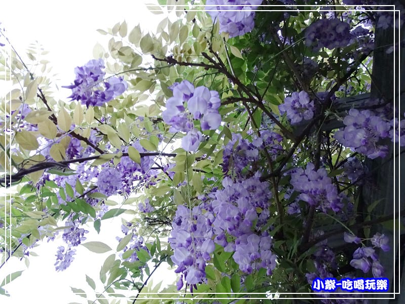 元生公園11.jpg