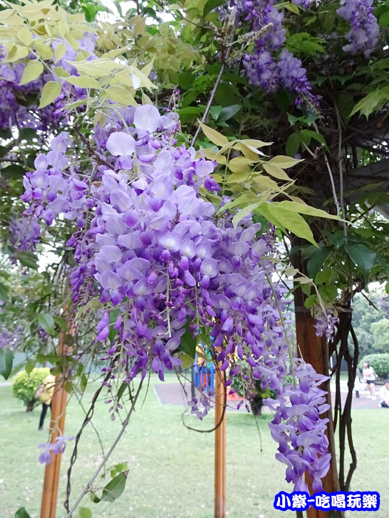 元生公園1.jpg