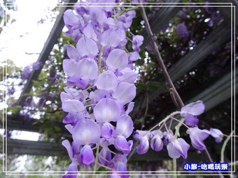 元生公園13.jpg