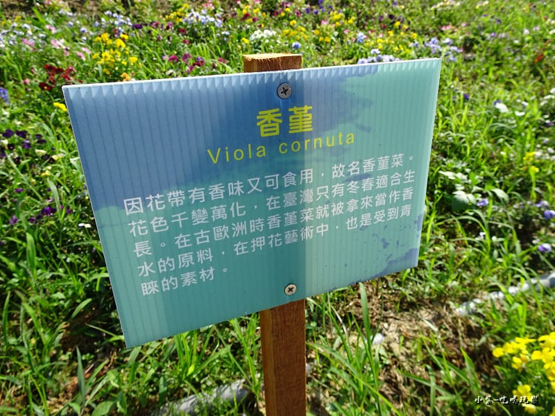 桃園農業博覽會105.jpg 桃園農業博覽會105.jpg