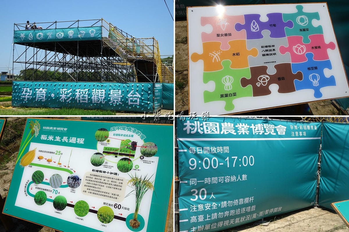 彩稻觀景台.jpg 彩稻觀景台.jpg