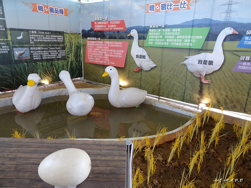 桃園農業博覽會40.jpg 桃園農業博覽會40.jpg