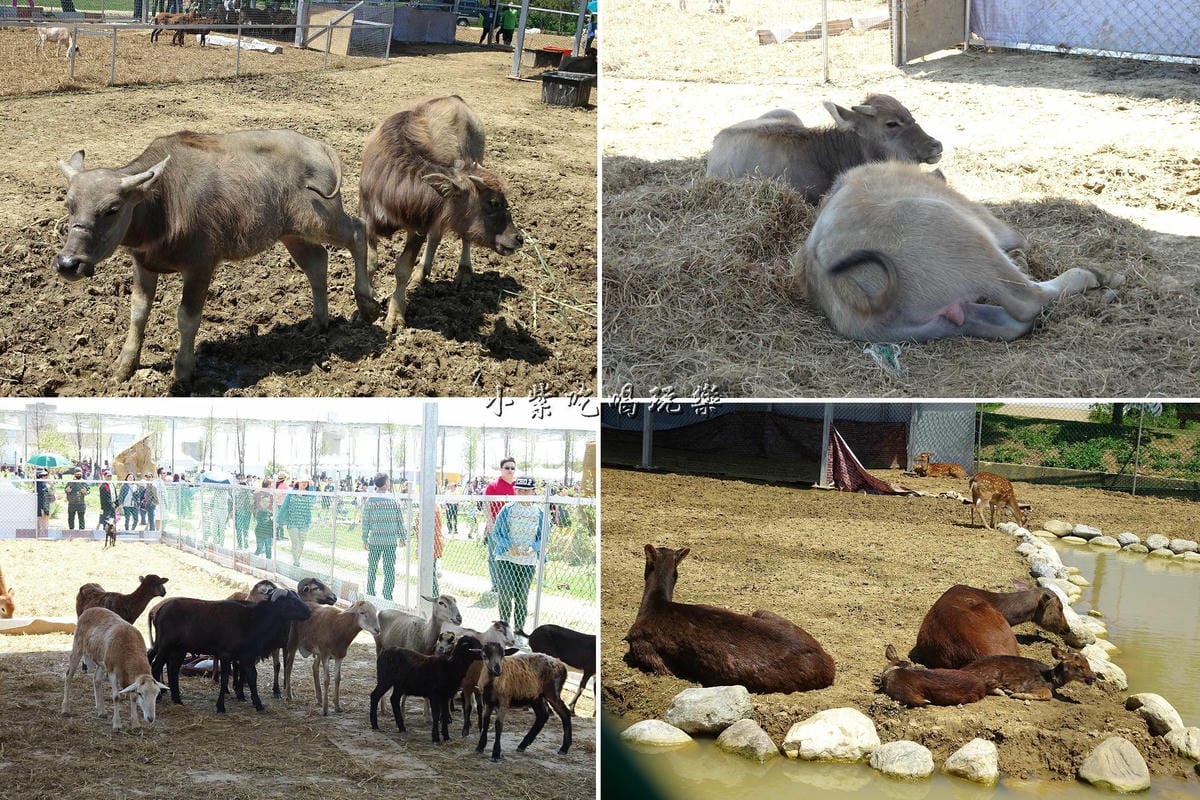 動物區.jpg 動物區.jpg