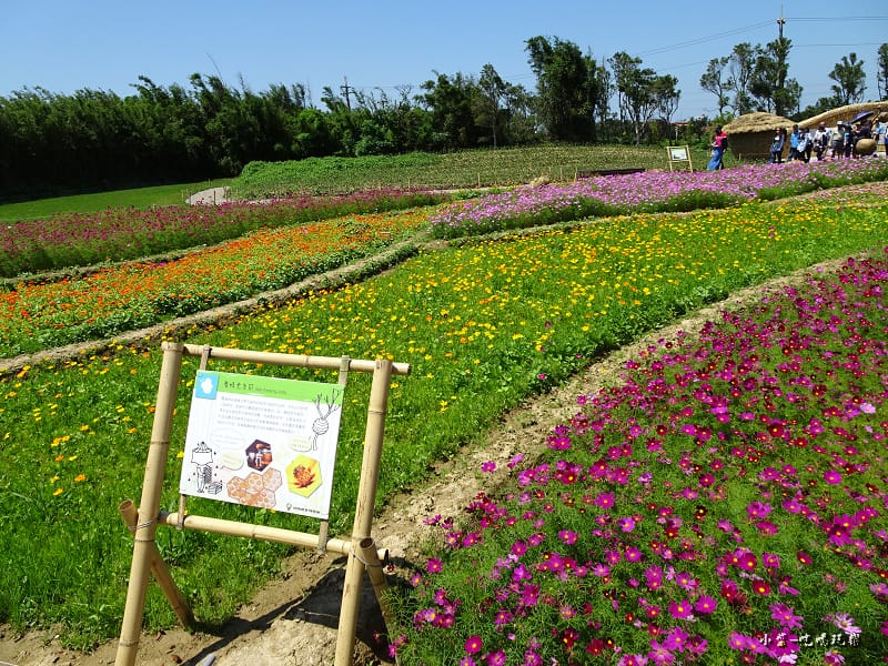 桃園農業博覽會25.jpg 桃園農業博覽會25.jpg