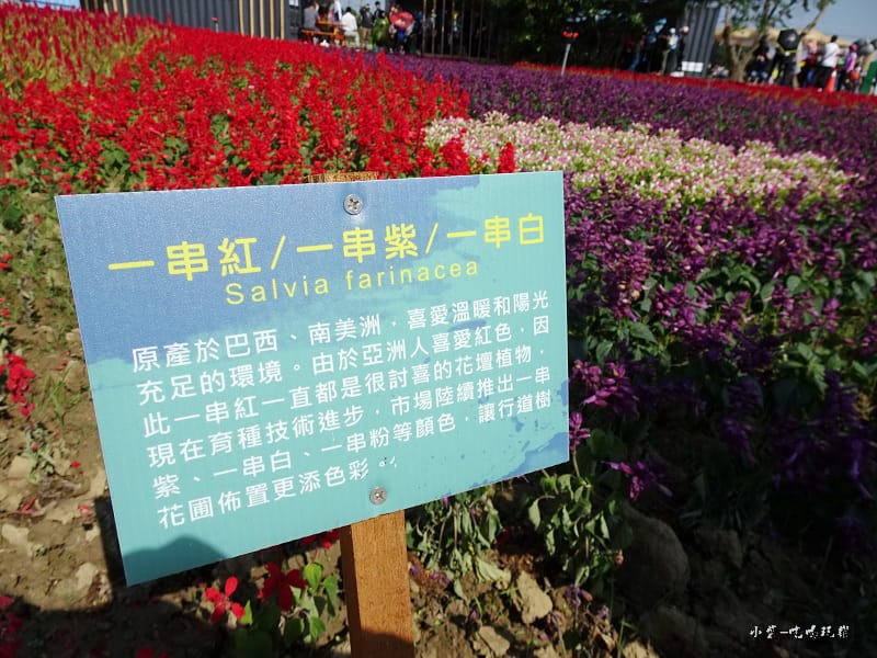 桃園農業博覽會90.jpg 桃園農業博覽會90.jpg