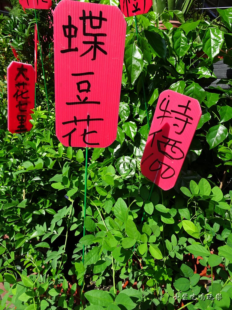 虎頭山金燕豆花1.jpg 虎頭山金燕豆花1.jpg
