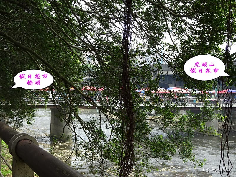 虎頭山金燕豆花12.jpg 虎頭山金燕豆花12.jpg