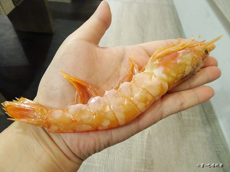 天使蝦21.jpg 天使蝦21.jpg