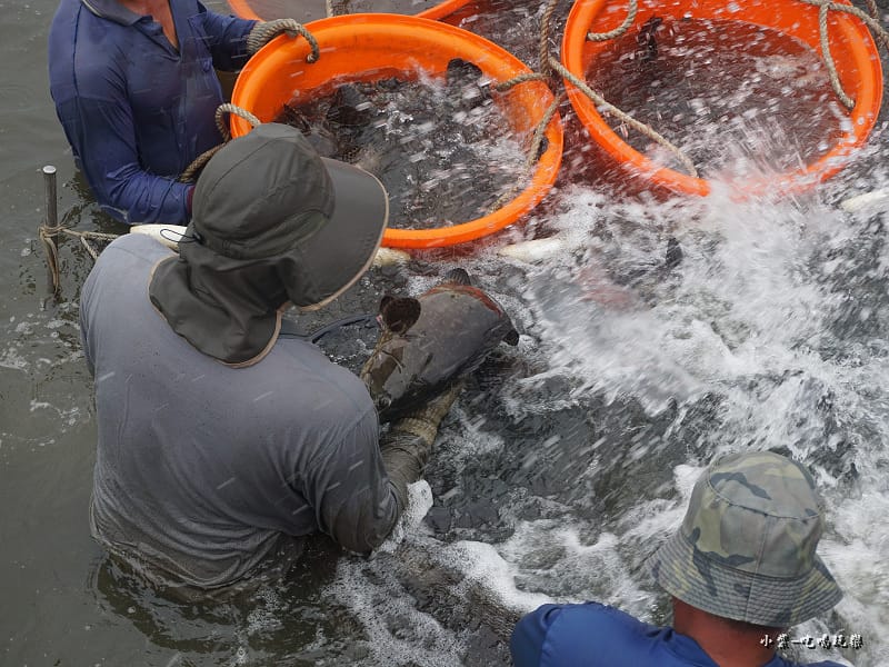 1抓取海水養殖0.jpg 1抓取海水養殖0.jpg