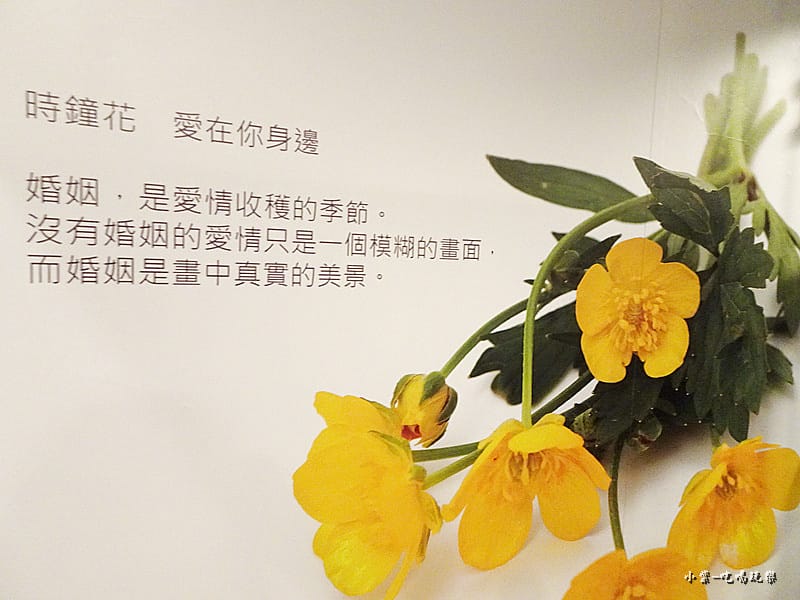 DSC0119017.jpg DSC0119017.jpg