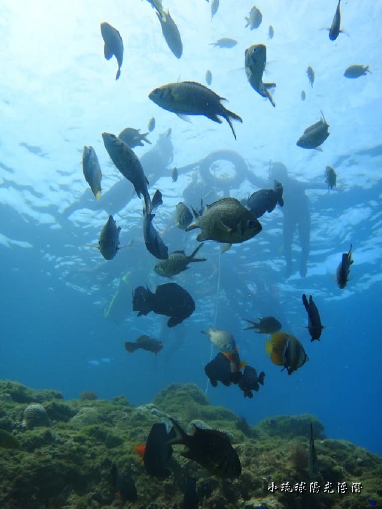 海底世界71.jpg 海底世界71.jpg