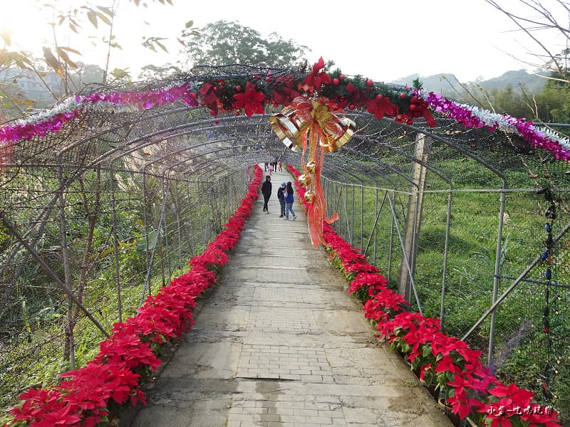 三民山城紅花燈火節9.jpg 三民山城紅花燈火節9.jpg