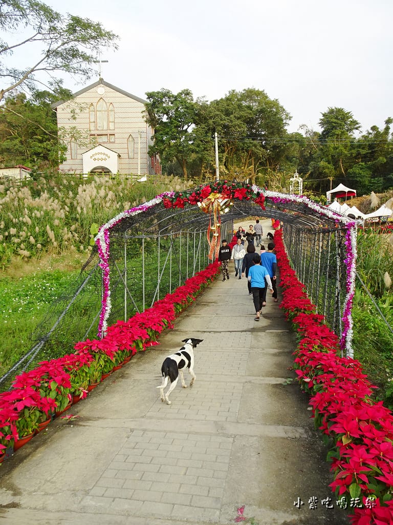 三民山城紅花燈火節19.jpg 三民山城紅花燈火節19.jpg