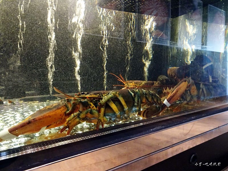 圓味涮涮鍋-桃園 (5)23.jpg 圓味涮涮鍋-桃園 (5)23.jpg