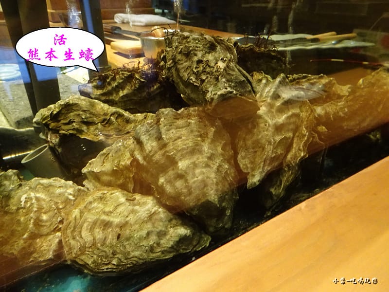 日本熊本生蠔 (2)28.jpg 日本熊本生蠔 (2)28.jpg