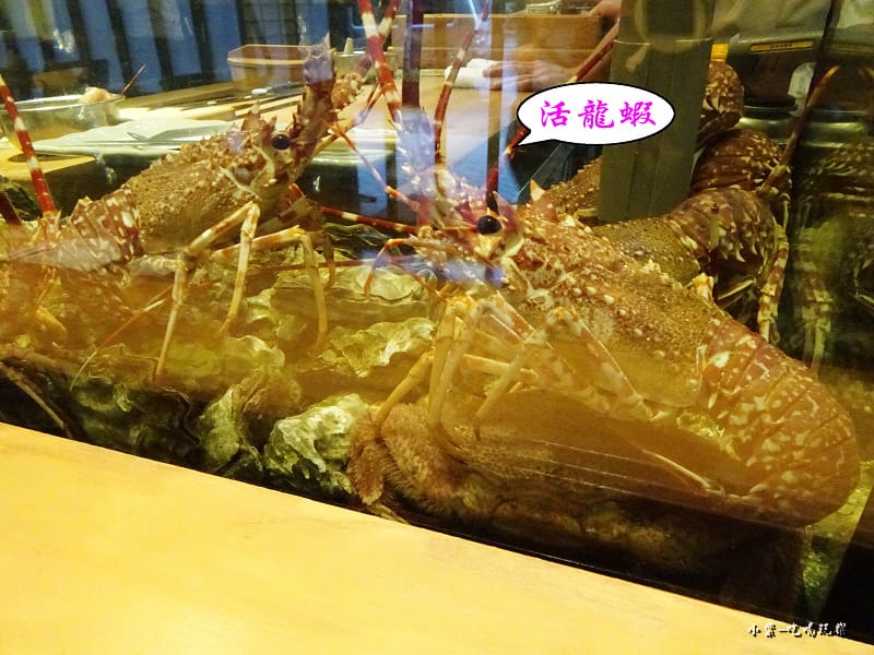 龍蝦63.jpg 龍蝦63.jpg