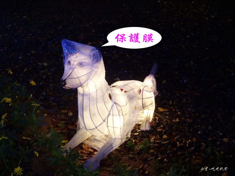 宜蘭賞花燈-員山公園16.jpg 宜蘭賞花燈-員山公園16.jpg