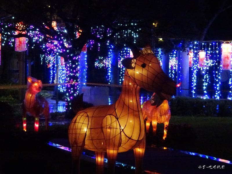 宜蘭賞花燈-員山公園22.jpg 宜蘭賞花燈-員山公園22.jpg