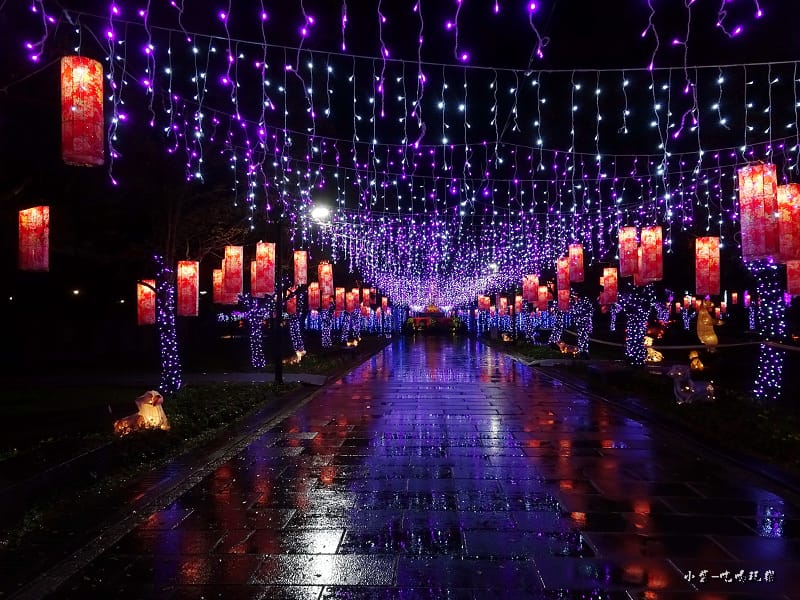 宜蘭賞花燈-員山公園15.jpg 宜蘭賞花燈-員山公園15.jpg