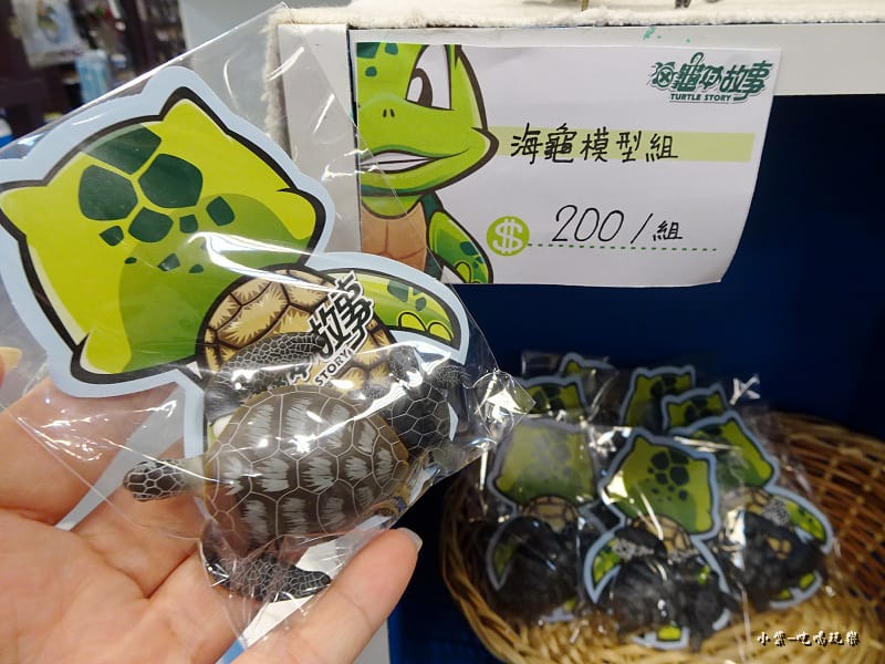 海龜ㄉ故事-1.jpg 海龜ㄉ故事-1.jpg