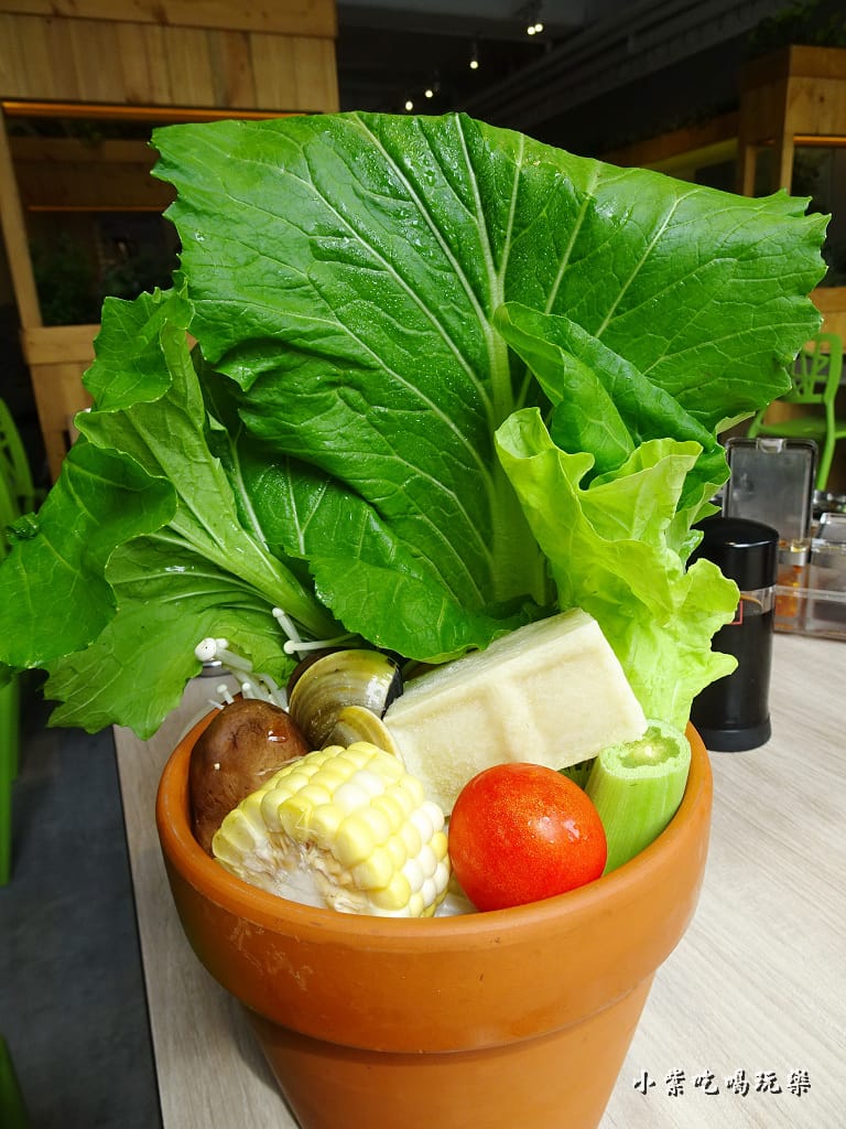 盆栽菜盆 (2)2.jpg