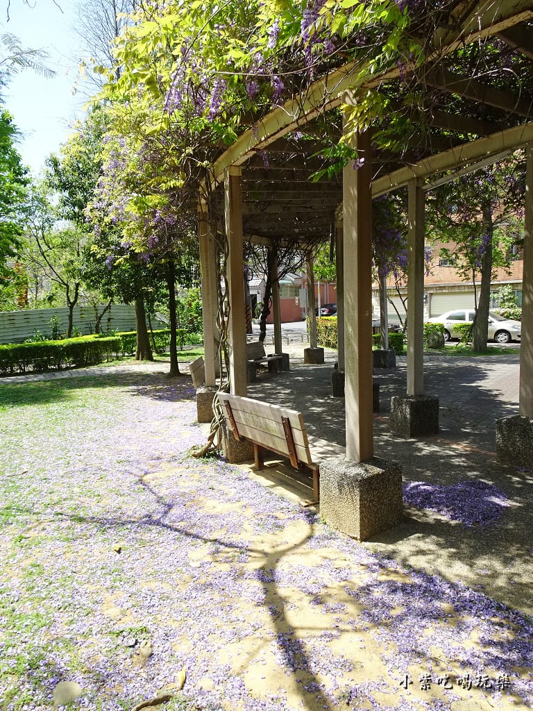 龍德公園紫藤花季22.jpg 龍德公園紫藤花季22.jpg