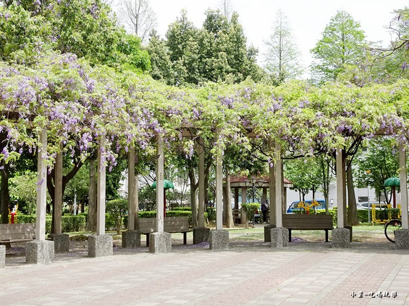 龍德公園紫藤花季20.jpg 龍德公園紫藤花季20.jpg