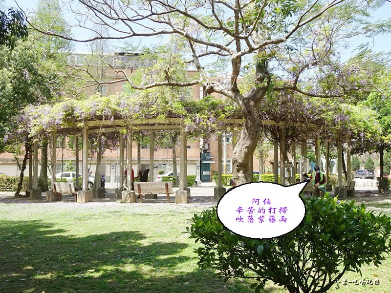 龍德公園紫藤花季15.jpg 龍德公園紫藤花季15.jpg