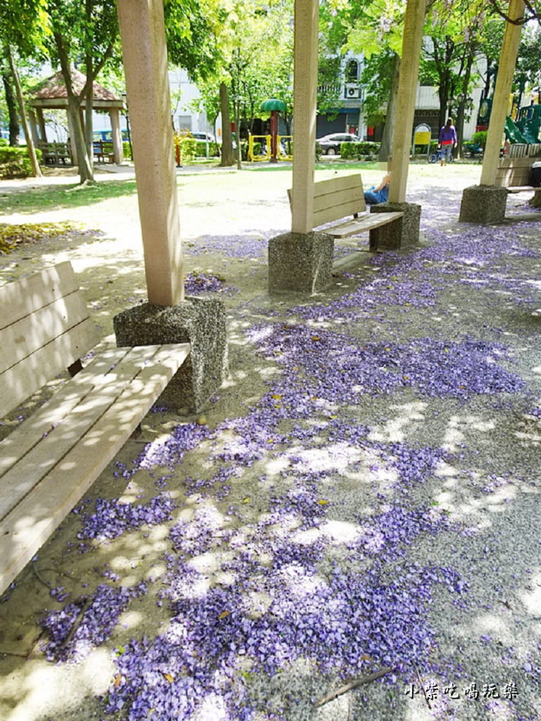 龍德公園紫藤花季21.jpg 龍德公園紫藤花季21.jpg