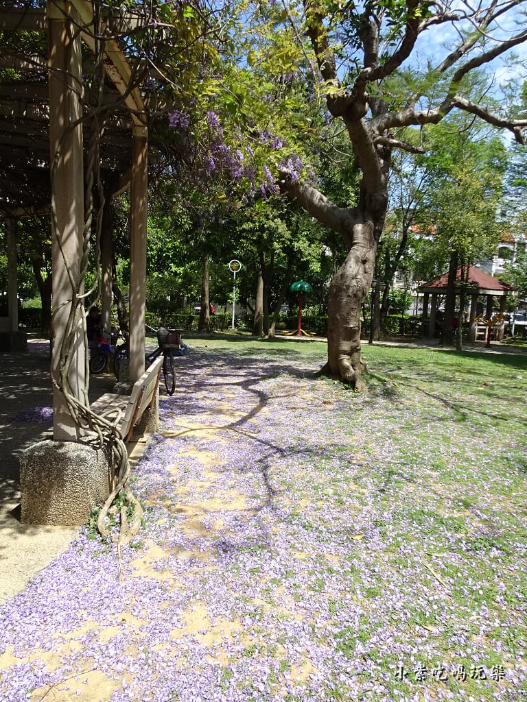 龍德公園紫藤花季25.jpg 龍德公園紫藤花季25.jpg