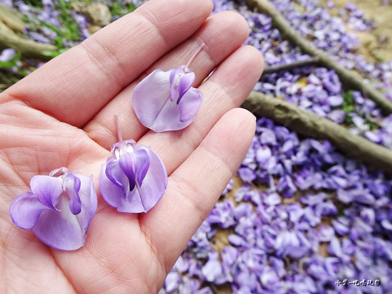 龍德公園紫藤花季18.jpg 龍德公園紫藤花季18.jpg