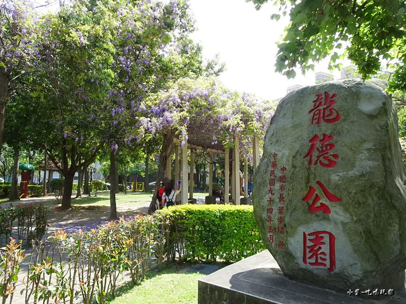 龍德公園紫藤花季1.jpg 龍德公園紫藤花季1.jpg
